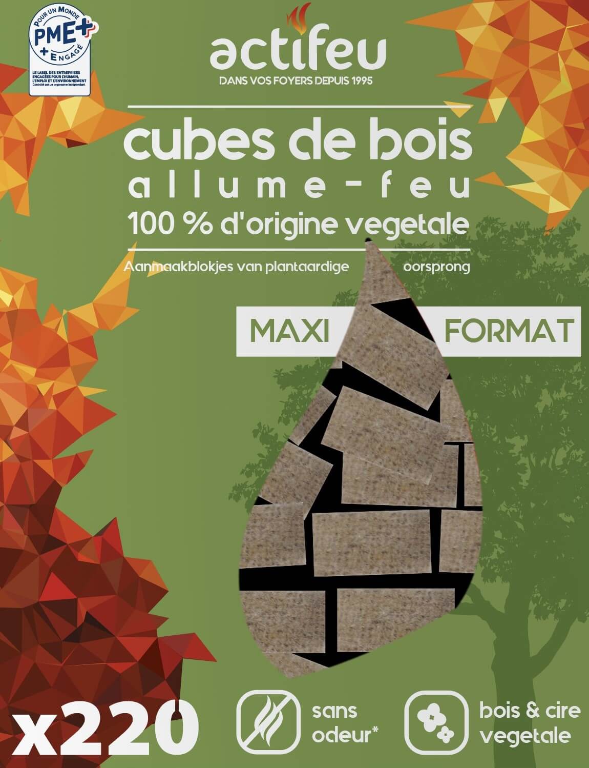 Cubes allume feu naturel bois compressé (x24)